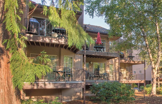 Whispering Woods Resort - Foto 16