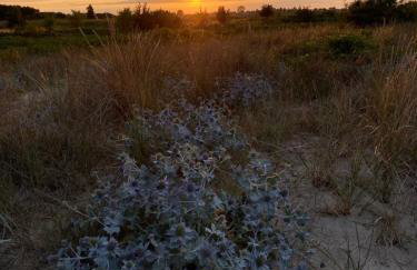 Apartament Vespa - Foto 23