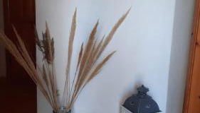 Sardegna casa vacanze La bouganville - Photo 4