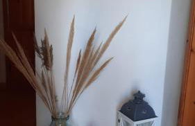 Sardegna casa vacanze La bouganville - Foto 4