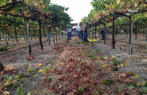 Serene Vineyard•Deck, Pickleball, Views~ Near Town - Foto 40