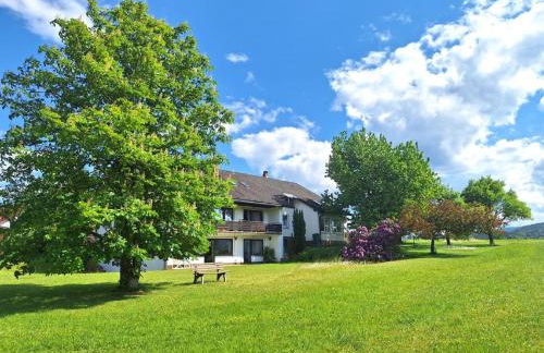 Pension Schneider - Foto 24