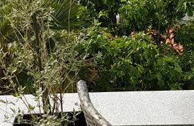 Villa Jeka, Malinska, Krk - Foto 48