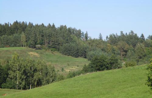 Dworek Telimena - Foto 28