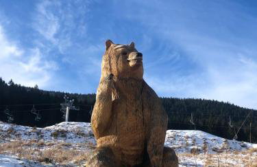 Apartament w Stroniu - Foto 23