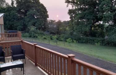 19 Carters Paddock - Foto 10