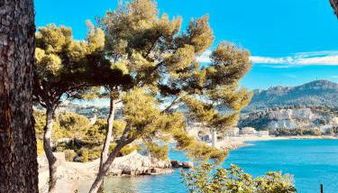 AU BORD DE L'EAU Studio climatisé avec Terrasse et vue mer à 40m de la plage - Foto 2
