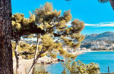 AU BORD DE L'EAU Studio climatisé avec Terrasse et vue mer à 40m de la plage - Foto 2