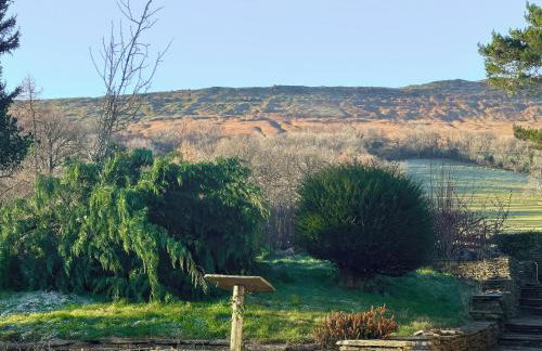 White Haywood Farmhouse - Photo 36