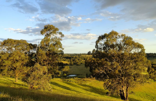 Down to Earth Farm Retreat - Foto 43