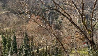 La sosta al lago - Foto 4