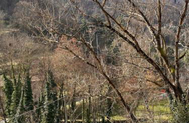 La sosta al lago - Foto 4