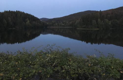 Detached Holiday Residence in the Wonderfully Beautiful Harz - Foto 50