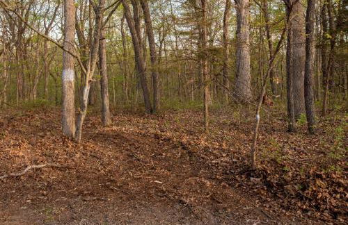 Cedar Ridge - Foto 37