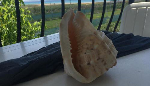 Dionisos Blue - Foto 2