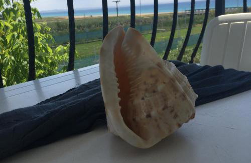 Dionisos Blue - Foto 2