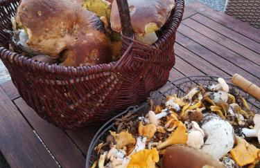 Le Lac Bleu huis 17 - Foto 56