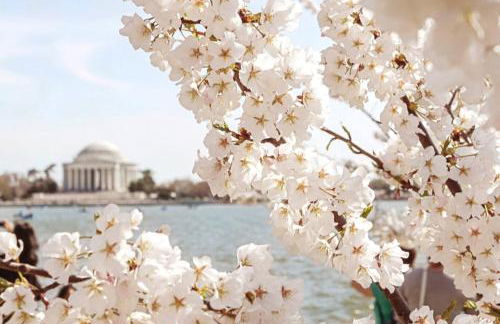 Relax on Kent Island in 3 Bedroom Home w/Waterview - Foto 37