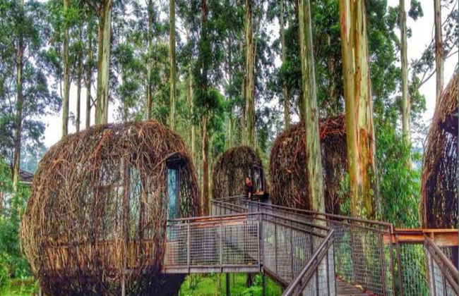 Villa Sasky Ciater Highland - Foto 65