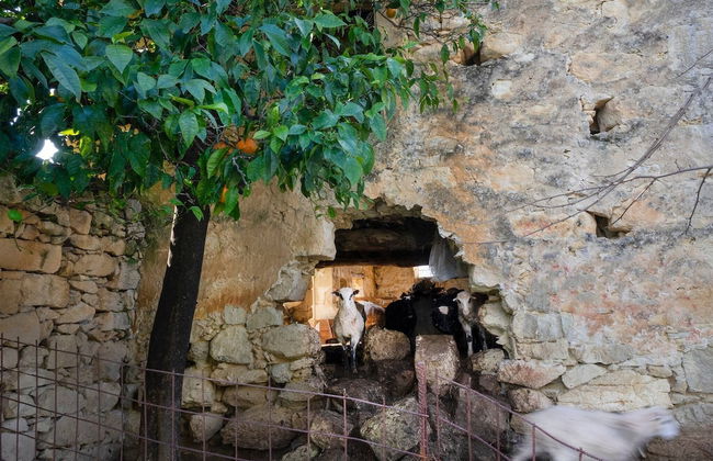 Glikanisos House Nipos - Ideal for Hikers and Families 2bd, 6pl, 10min to Beach - Foto 41