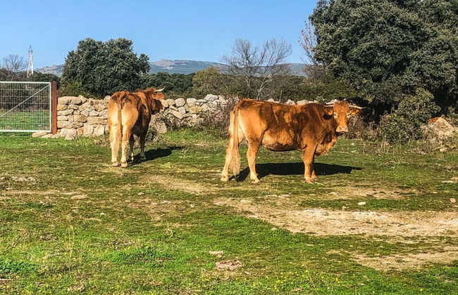 Tour in Alpedrete - Foto 8