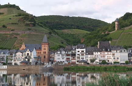 Moselanker de in Enkirch Mosel - Foto 54
