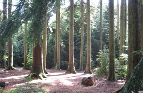 Moonfleat - Photo 16