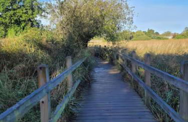 Open Mind Property - Escape to the New Forest Edge - Foto 30