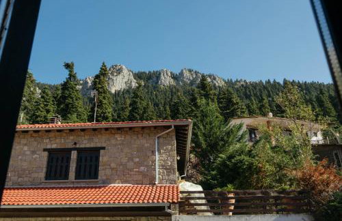 Τα Πέτρινα της Ελάτης - Petrina Elatis - Foto 36