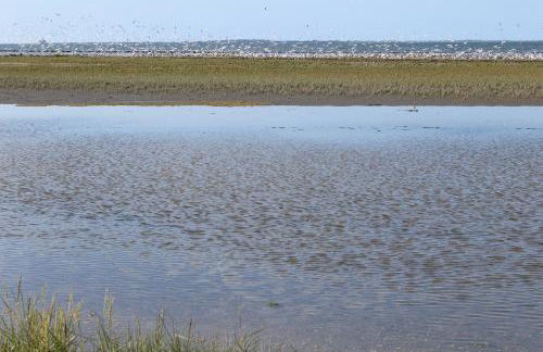 Ferienwohnung Rabenstein - Foto 24