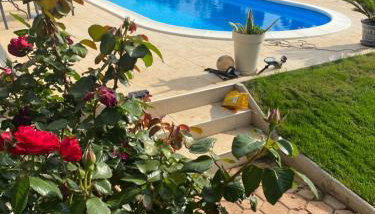 Villa Ljubica with big beautiful garden - Foto 4