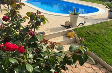 Villa Ljubica with big beautiful garden - Foto 4