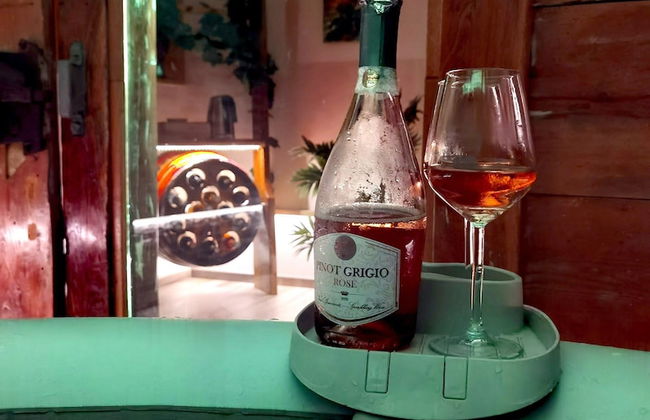 Vineyard cottage Matej - Foto 19