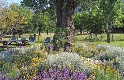 Casa Rural Ñasares - Photo 32