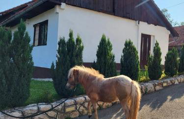 Apartment Dado - Foto 4