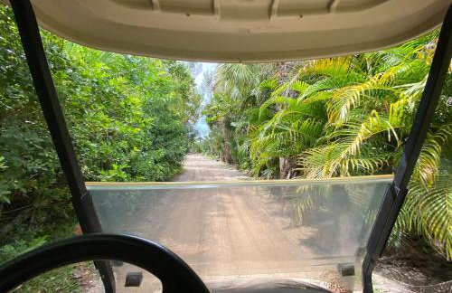 Family Tides on LGI - Golf Cart Included - Photo 47