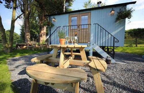 Upper Gelli Luxury Holiday Lodge, Converted Dairy & Cosy Shepherds Huts - Photo 66