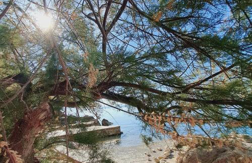 Apartments Marta - Foto 75