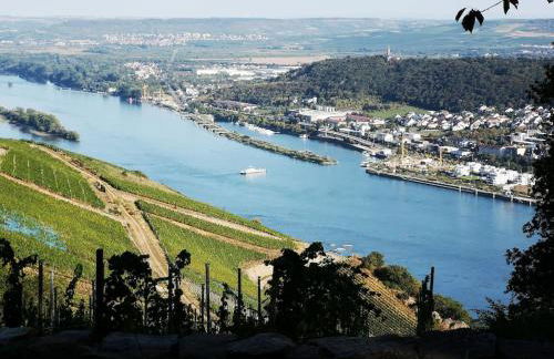 Peace-Deluxe**** - Foto 21