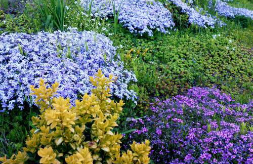 Apartments - Lehmanns Ferienwohnungen - Foto 59