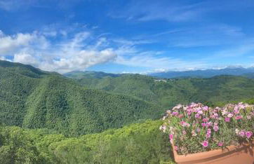 Home Holidays Crasciana, con terrazza vista sulle Alpi Apuane. - Foto 49