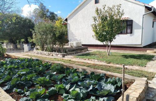 Holiday Home Višnja with Pool - Photo 5
