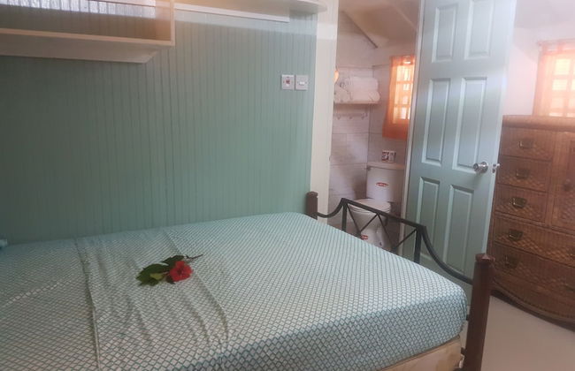 Coco Mango Suites - Photo 2