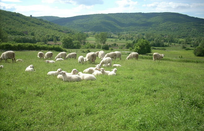 Farmhouse Passignano Near Lake Trasimeno - Foto 39