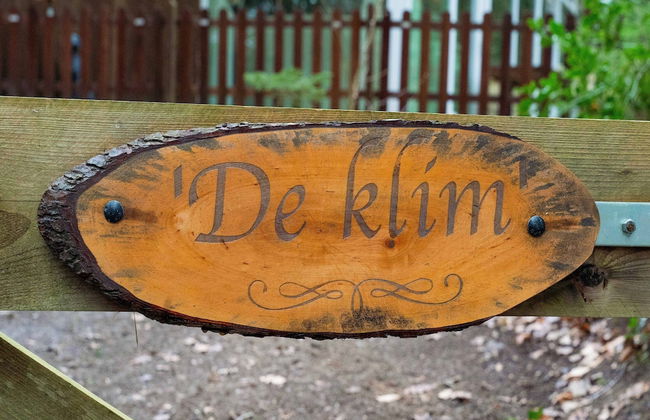 Forest House in Norg With Private Sauna - Photo 26