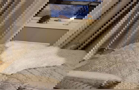 Haugetuft Apartments - Photo 13