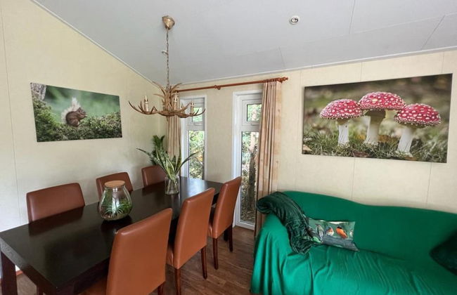 Chalet in Voorthuizen With Indoor Pool - Photo 24