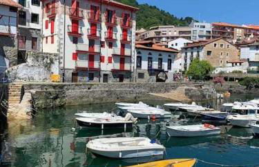 Encanto junto al puerto - Arostegi Etxea - Foto 25