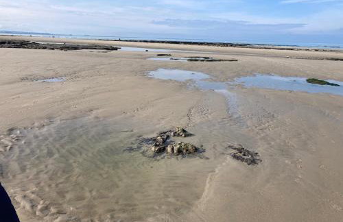 Aparthotel Des 2 Caps - Foto 61