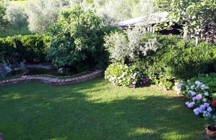 Gabrimilla - Foto 16